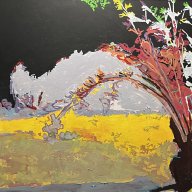 Blick aus dem Fenster