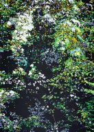 ohne Titel
