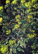 ohne Titel