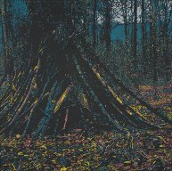 Im Wald