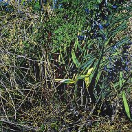 ohne Titel